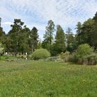 Frühjahr im Botanischen Garten von Rostock (1)