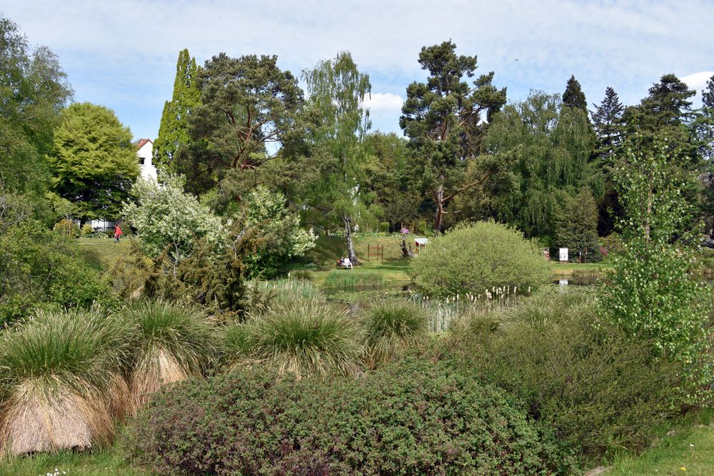 Frühjahr im Botanischen Garten von Rostock (2)