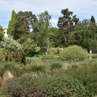 Frühjahr im Botanischen Garten von Rostock (2)