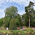 Frühjahr im Botanischen Garten von Rostock (3)