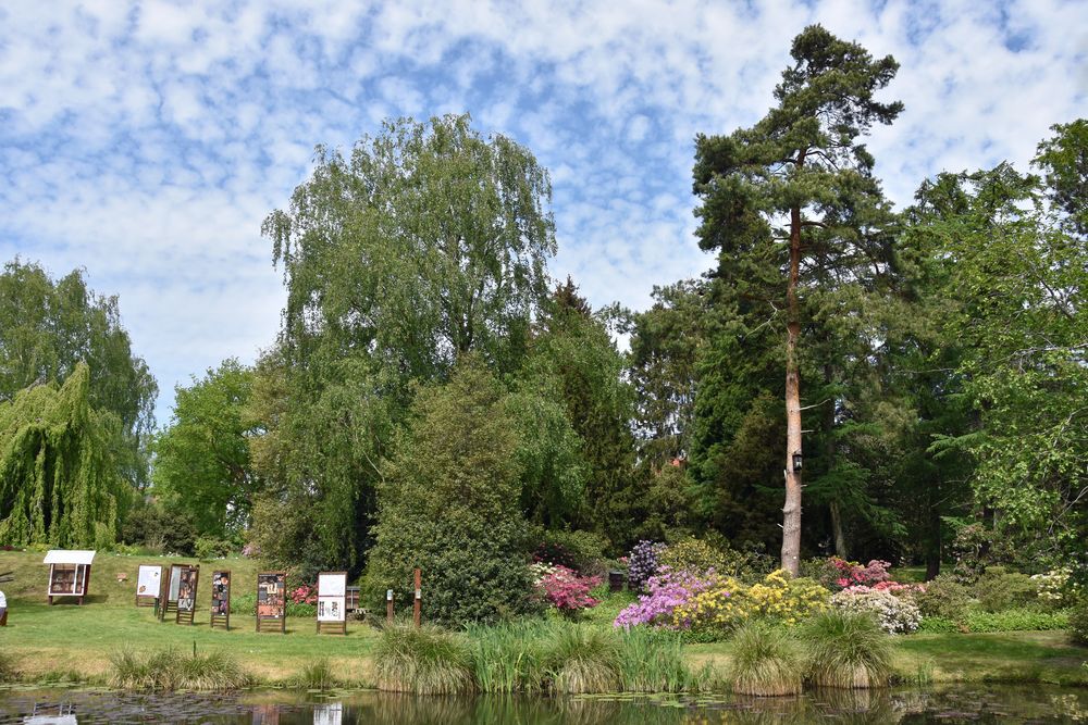 Frühjahr im Botanischen Garten von Rostock (3)