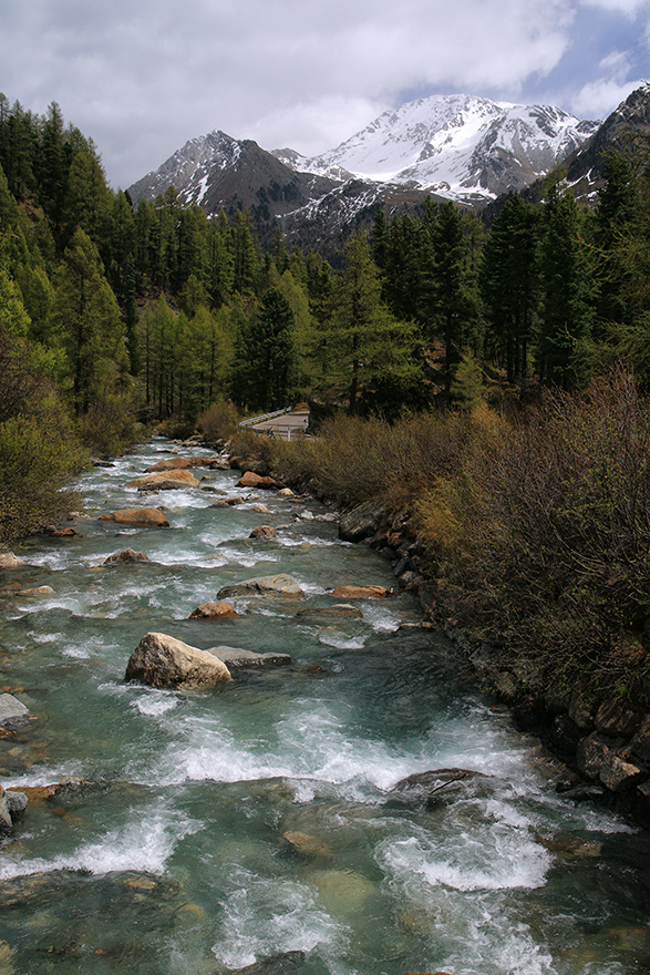 Frühjahr im Martelltal