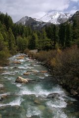 Frühjahr im Martelltal