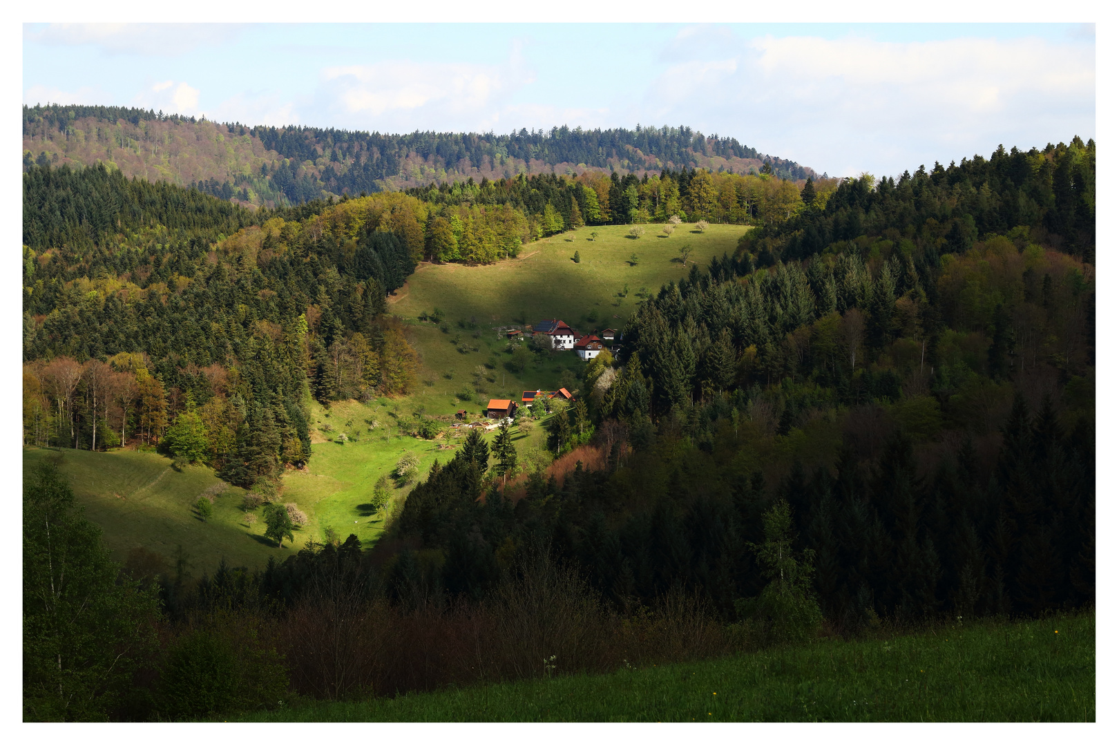 Frühjahr im Schwarzwald