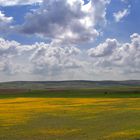 Frühjahr in Anatolien