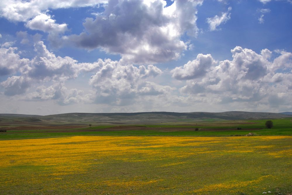 Frühjahr in Anatolien