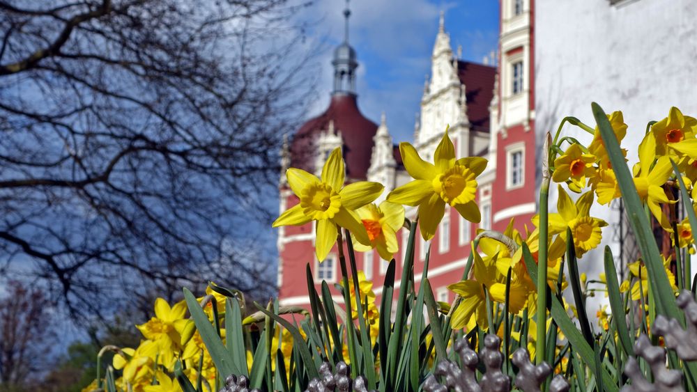 Frühjahr in Bad Muskau