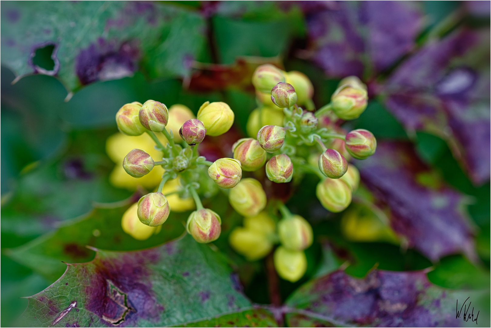 Frühjahr mit herbstlicher Note