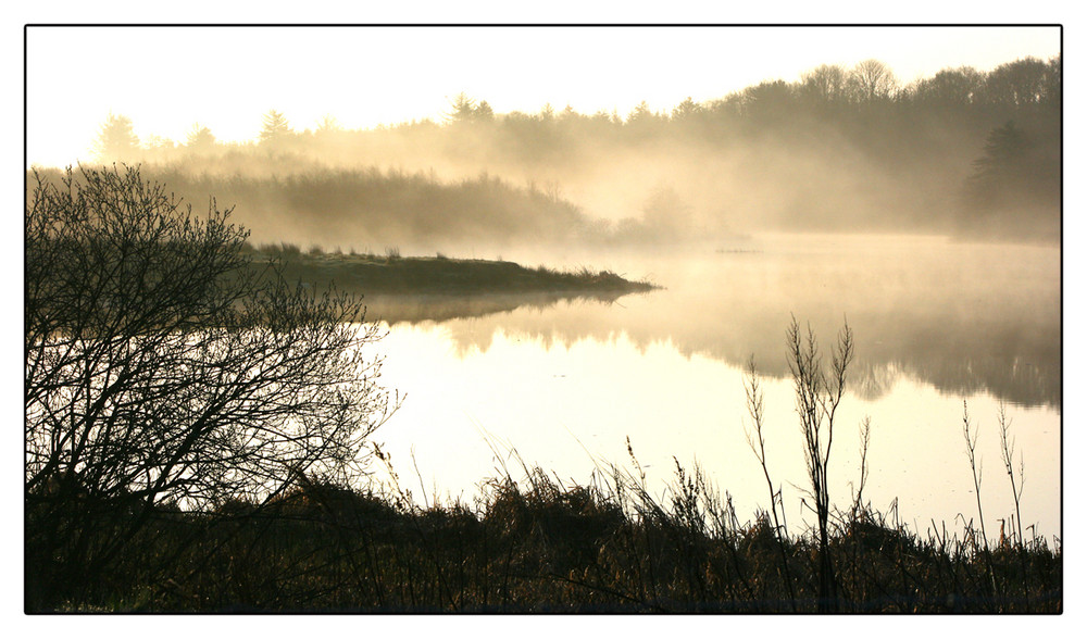 Frühjahr Morgen