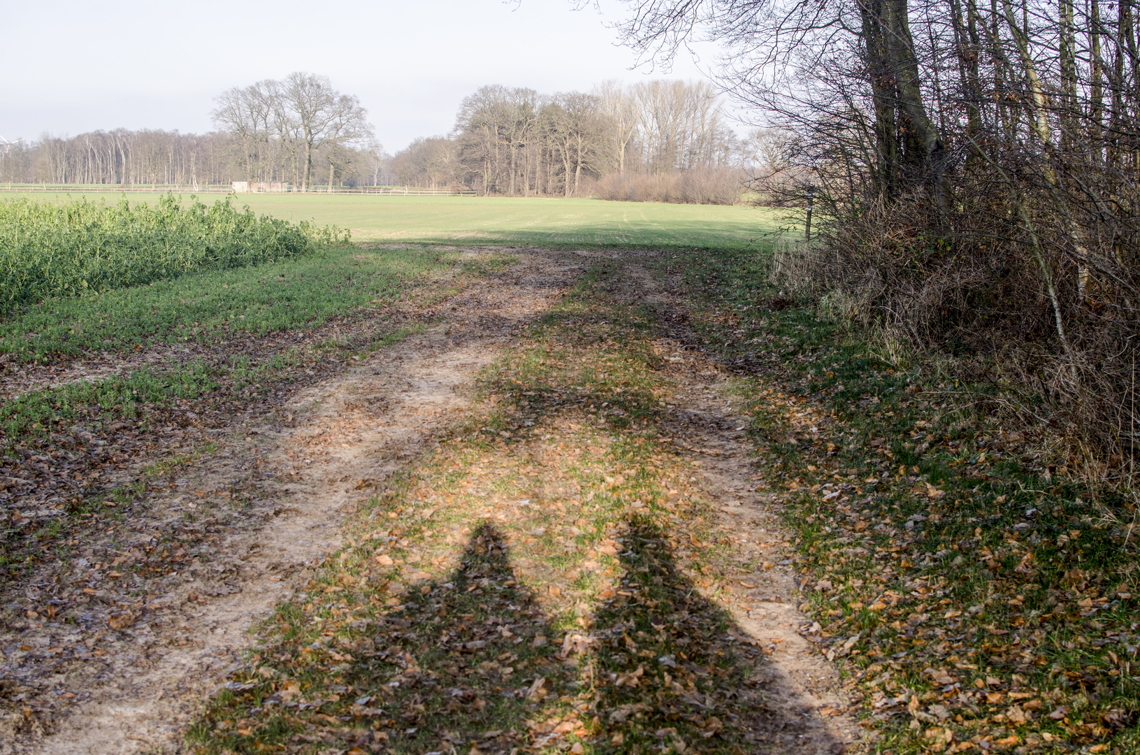 FRÜHJAHR-SPAZIERGANG