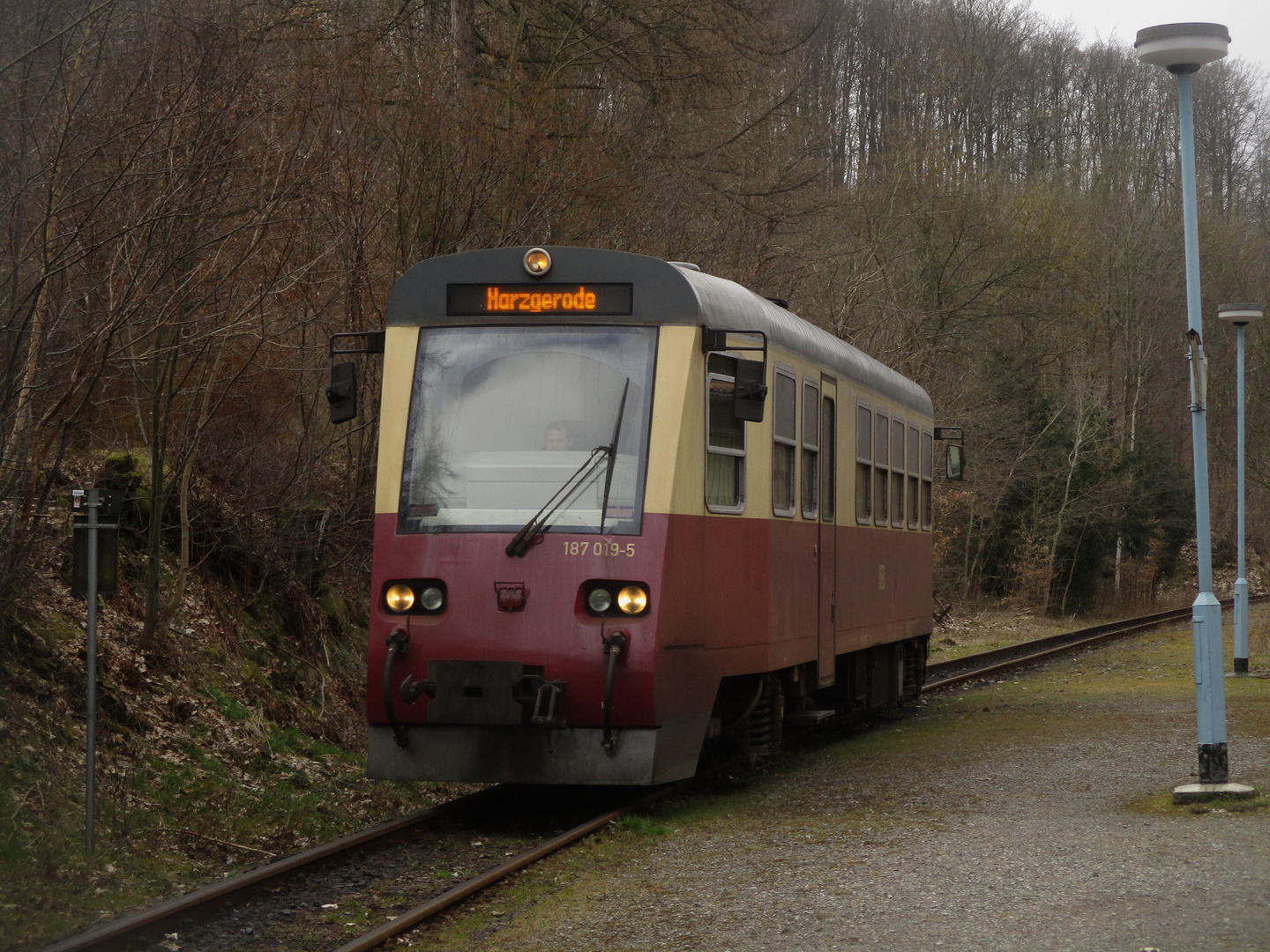 Frühjahrausflug mit der Selketalbahn 1.