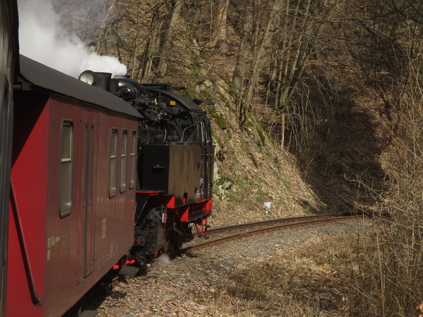 Frühjahrausflug mit der Selketalbahn 2.