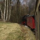 Frühjahrausflug mit der Selketalbahn 3.