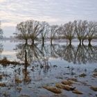 Frühjahreshochwasser der Elbe