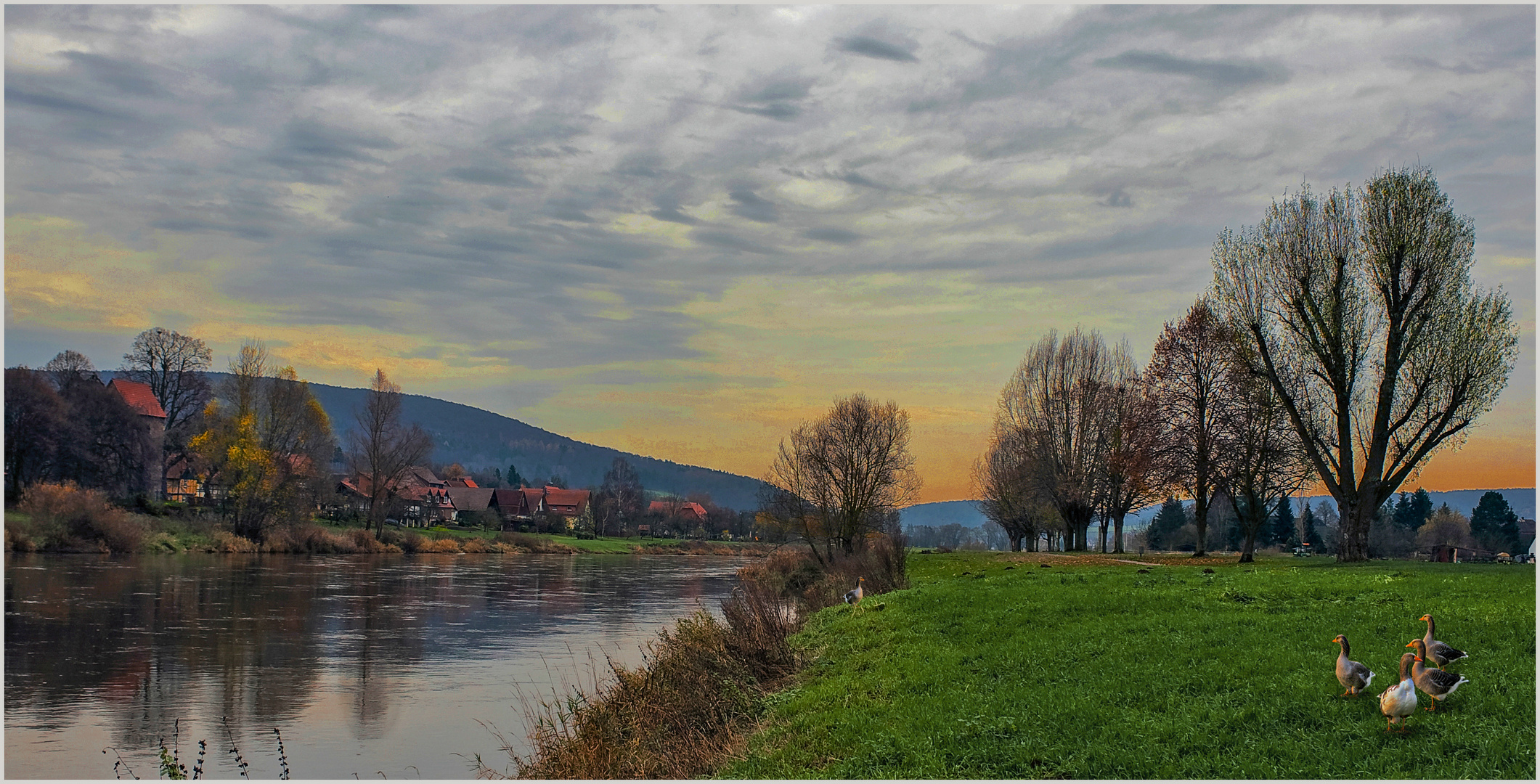 Frühjahrsanfang auf der Gänsewiese