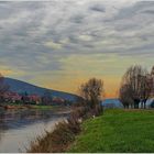 Frühjahrsanfang auf der Gänsewiese