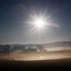 Frühjahrsanfang im Frühnebel  im  Fichtelgebirge