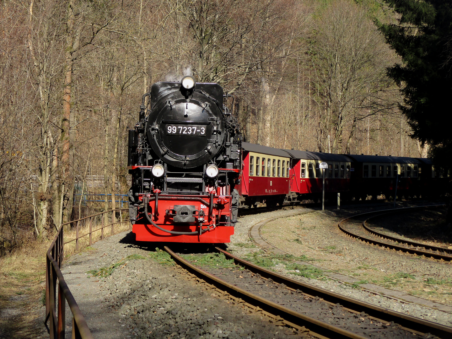 Frühjahrsausflug mit der HSB nach Eisfelder Talmühle 3.