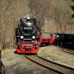 Frühjahrsausflug mit der HSB nach Eisfelder Talmühle 3.