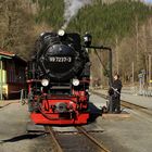 Frühjahrsausflug mit der HSB nach Eisfelder Talmühle 4.