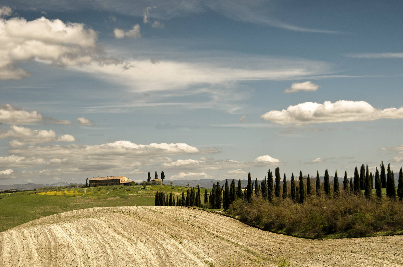 Frühjahrseindruck in der Toscana