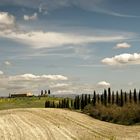 Frühjahrseindruck in der Toscana