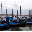 Frühjahrserwachen in Venedig