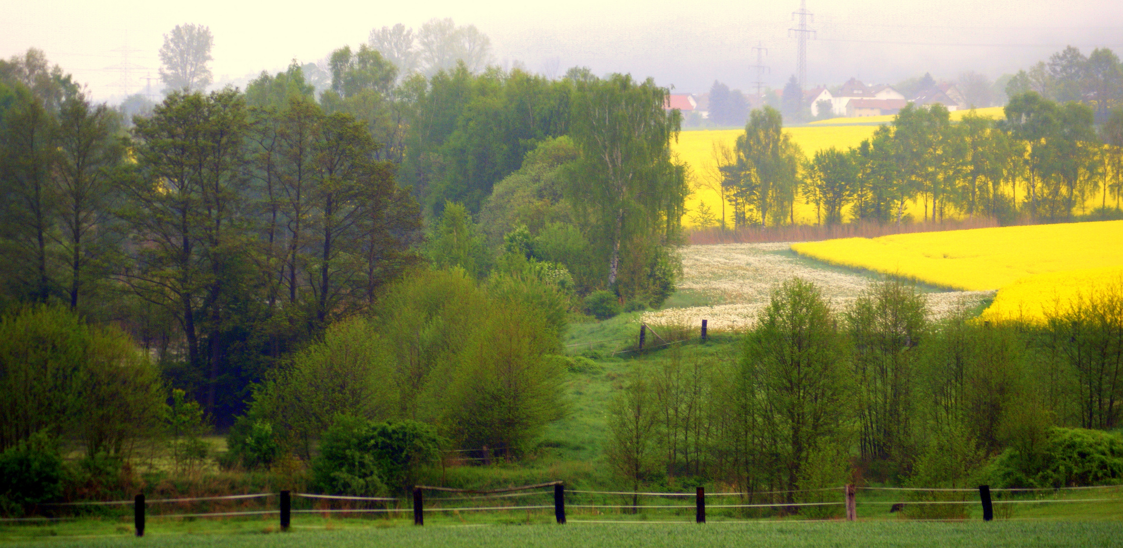 Frühjahrsfarben im Morgendunst