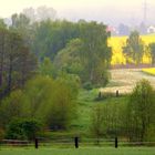 Frühjahrsfarben im Morgendunst