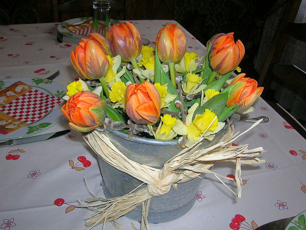 Frühjahrsfloristik in gelb-orange