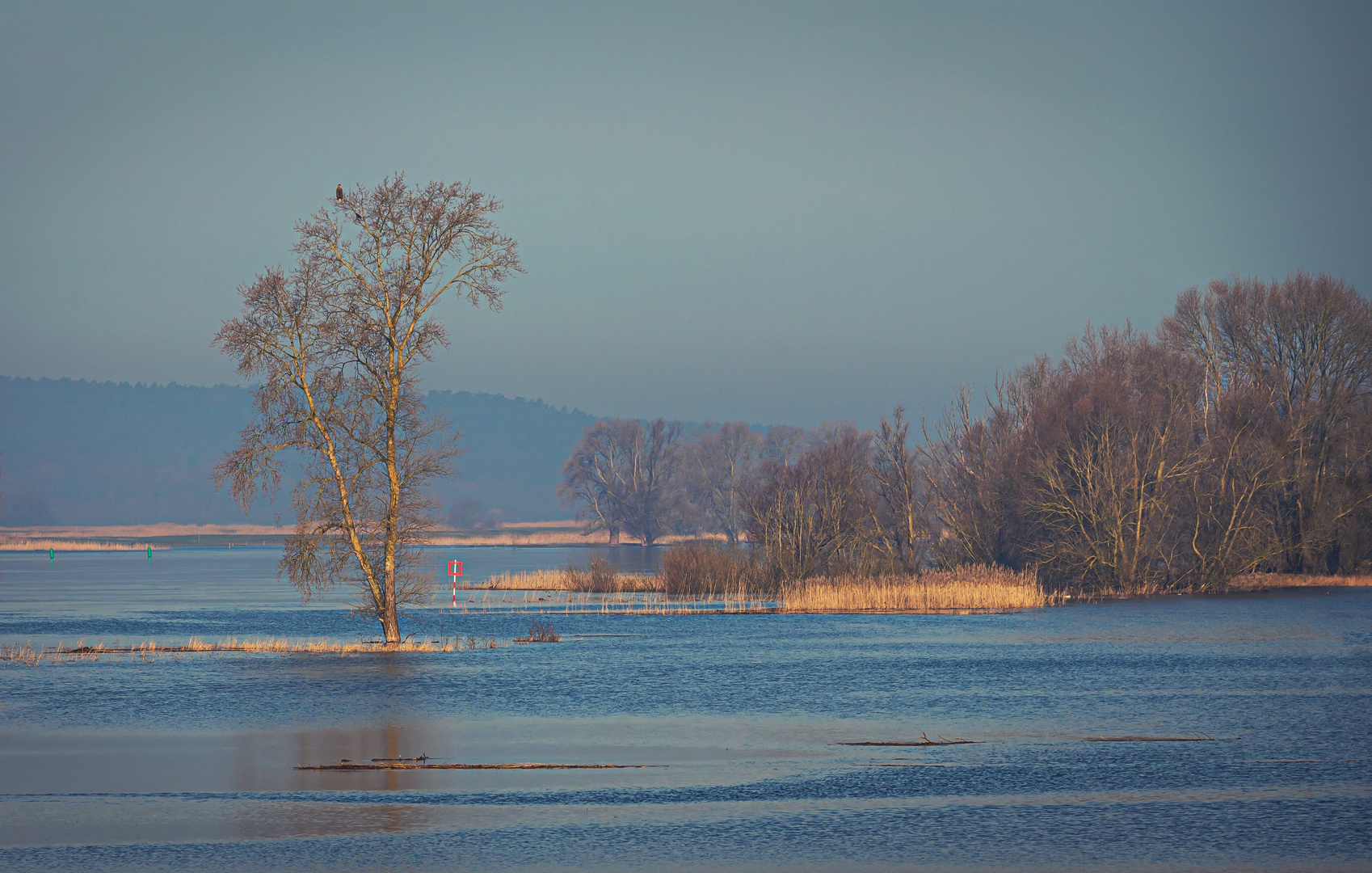 Frühjahrsflut an der Elbe
