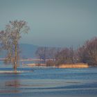 Frühjahrsflut an der Elbe