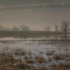 Frühjahrsflut an der Elbe