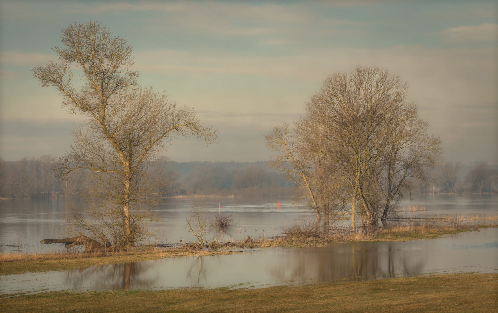 Frühjahrsflut an der Elbe