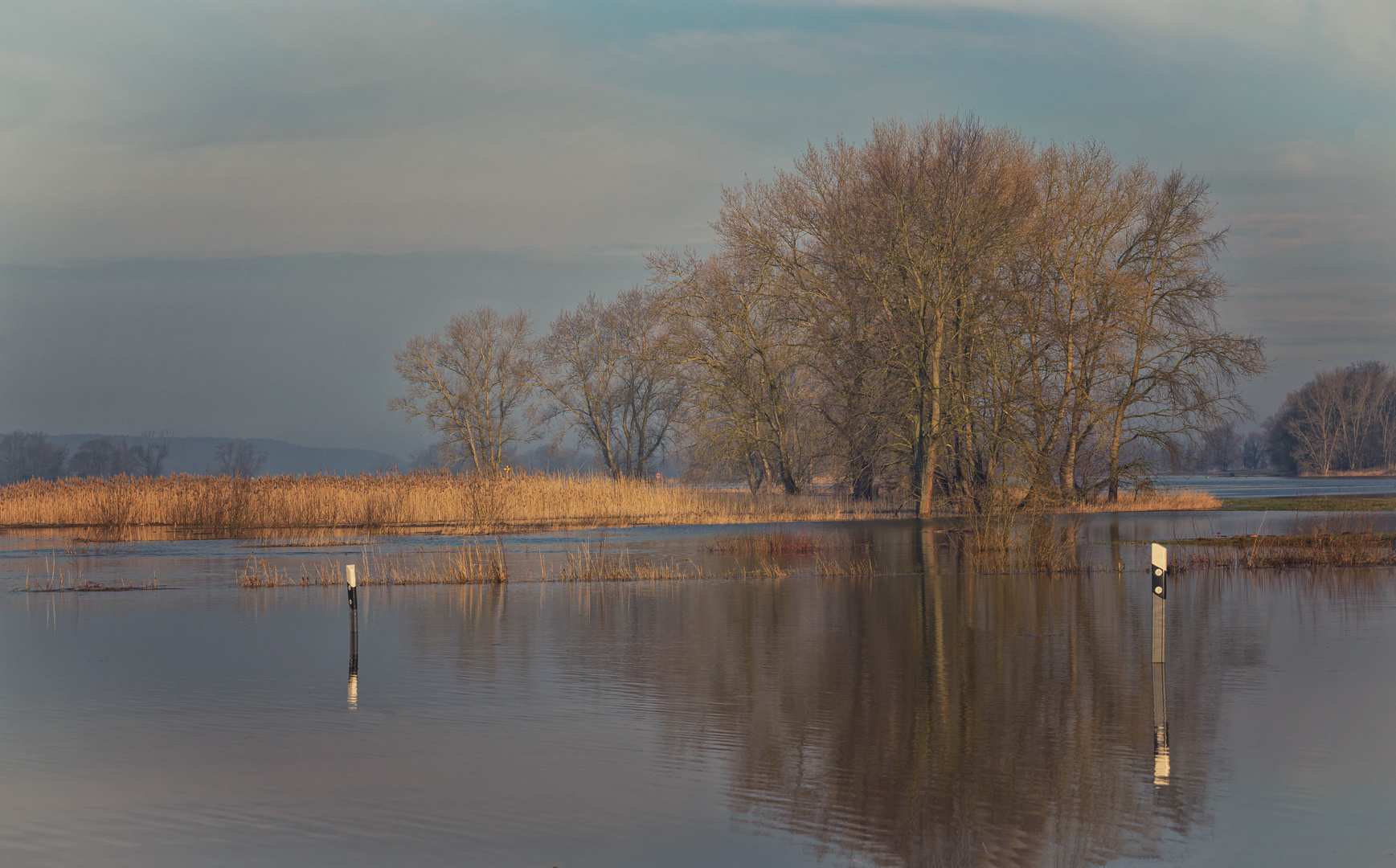 Frühjahrsflut an der Elbe