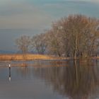 Frühjahrsflut an der Elbe