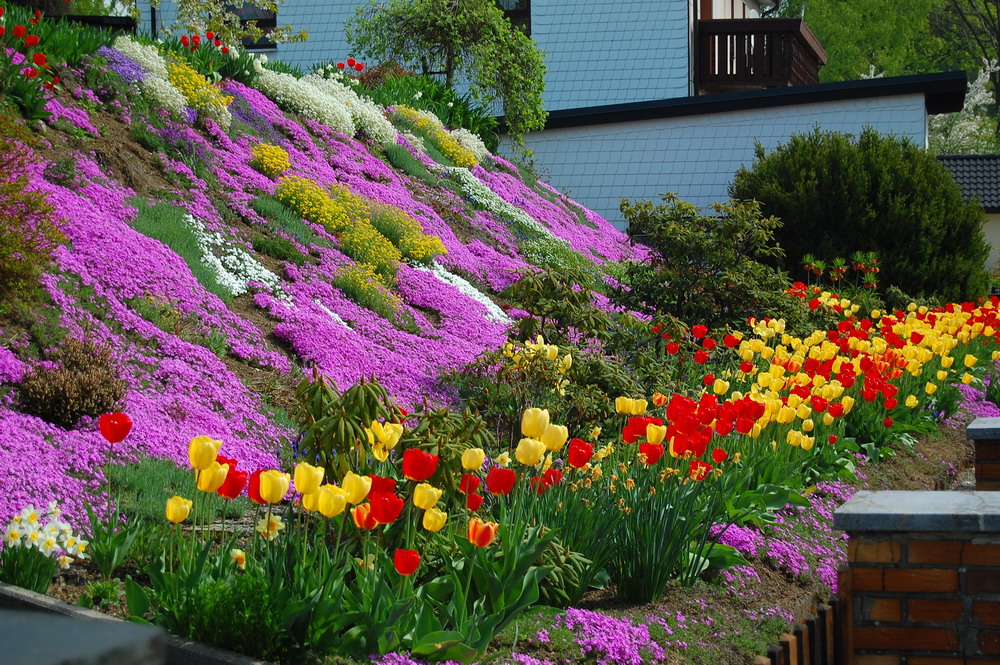 Frühjahrsgarten