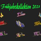 Frühjahrskollektion 2023