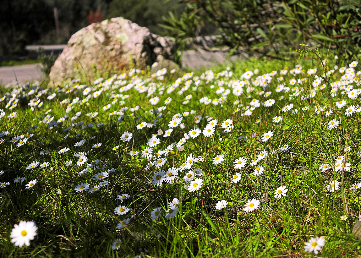 Frühjahrskollektion  /  Collezione della primavera  (1)