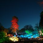 Frühjahrsleuchten im Grugapark : Waldsee und Alpinum