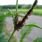 Frühjahrsmüdigkeit ? Von wegen