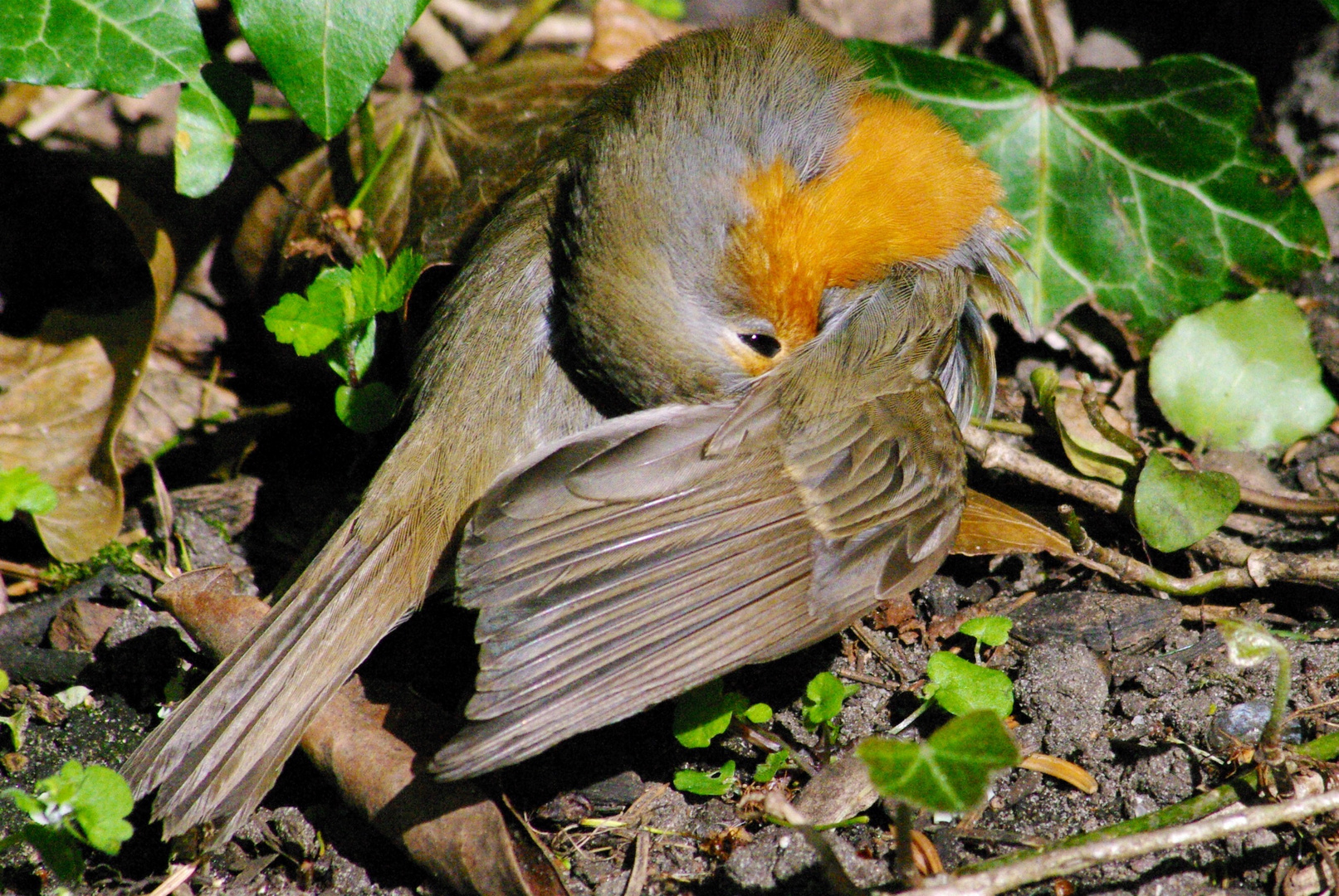 Frühjahrsputz