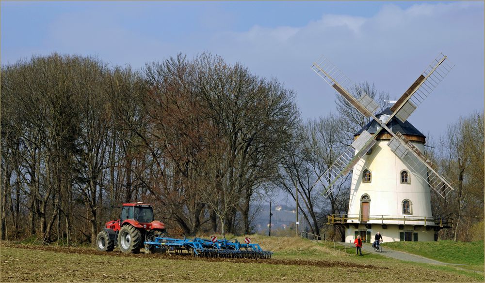 Frühjahrsputz auf dem Acker..,