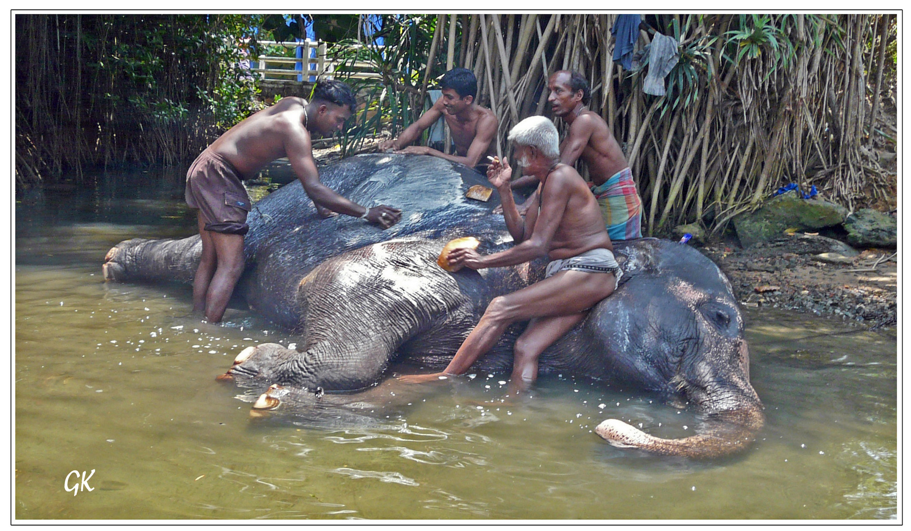 Frühjahrsputz auf Sri Lanka