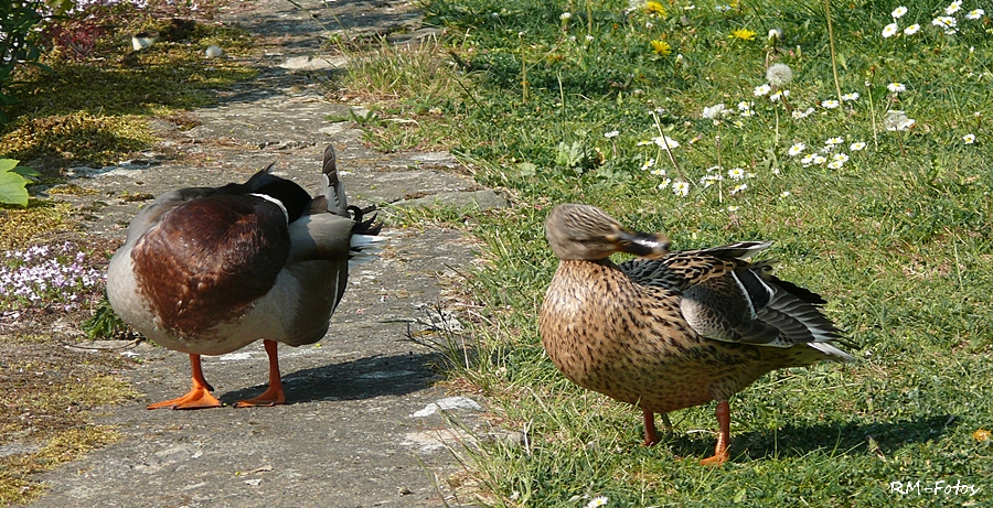 Frühjahrsputz