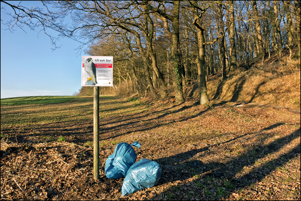 Frühjahrsputz der gemeinen Art