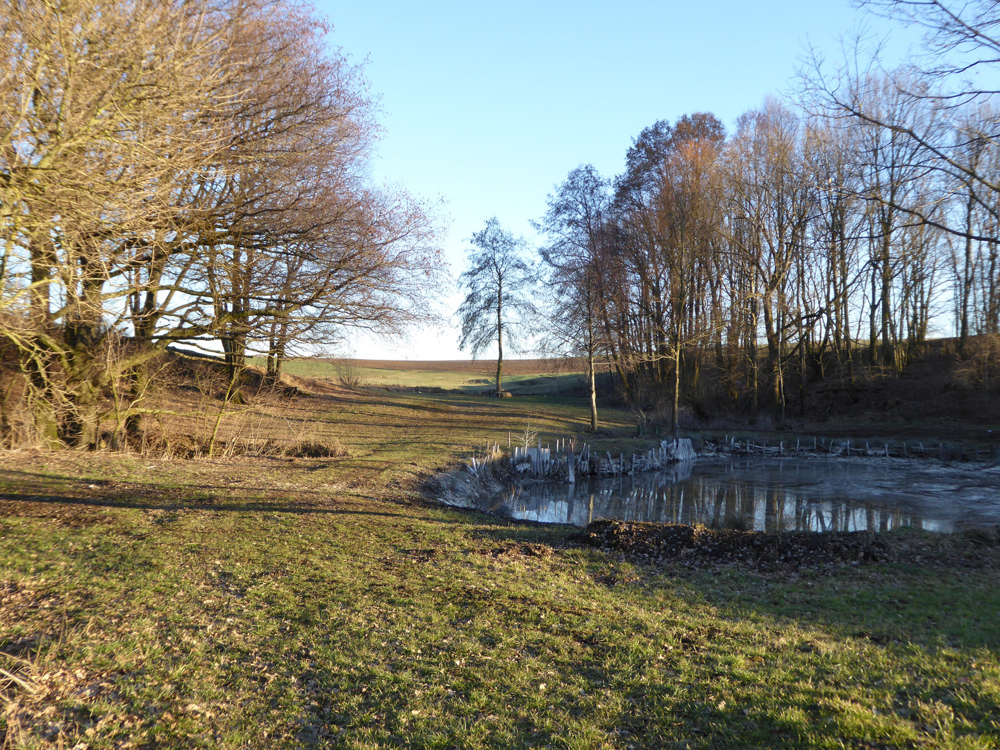 Frühjahrsputz im kleinen Teich