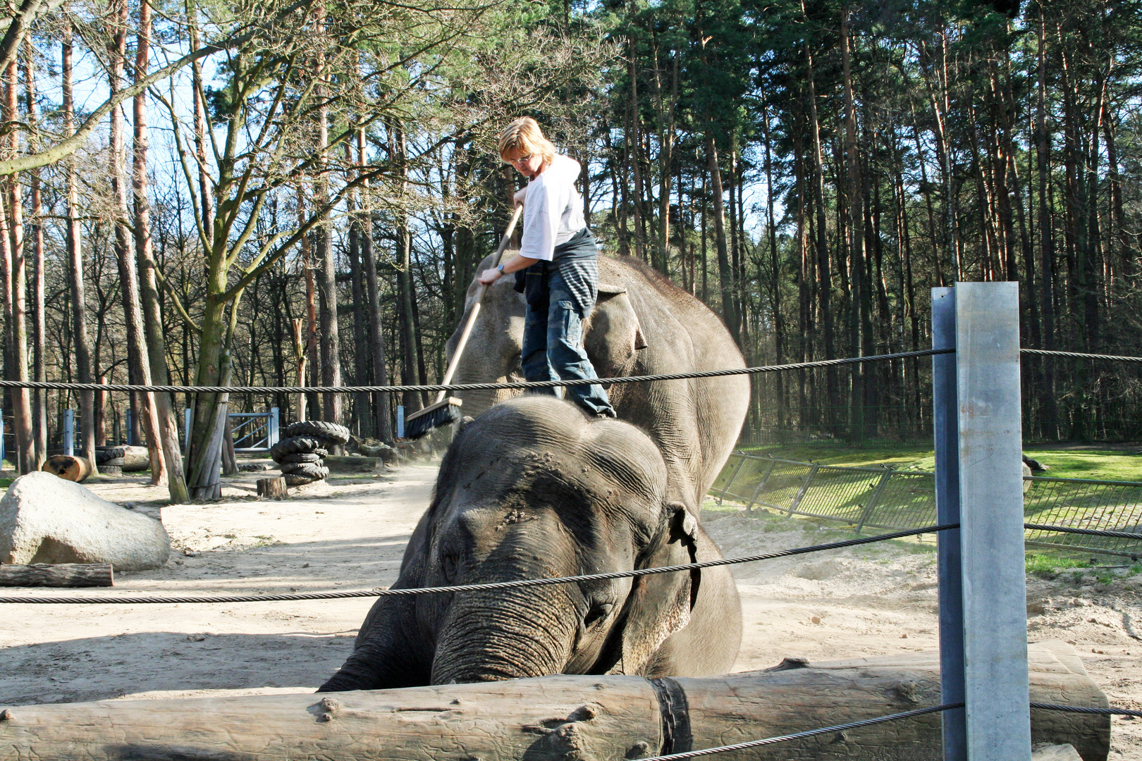 Frühjahrsputz im Tierpark Cottbus