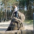 Frühjahrsputz im Tierpark Cottbus