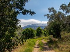 frühjahrsspaziergang...